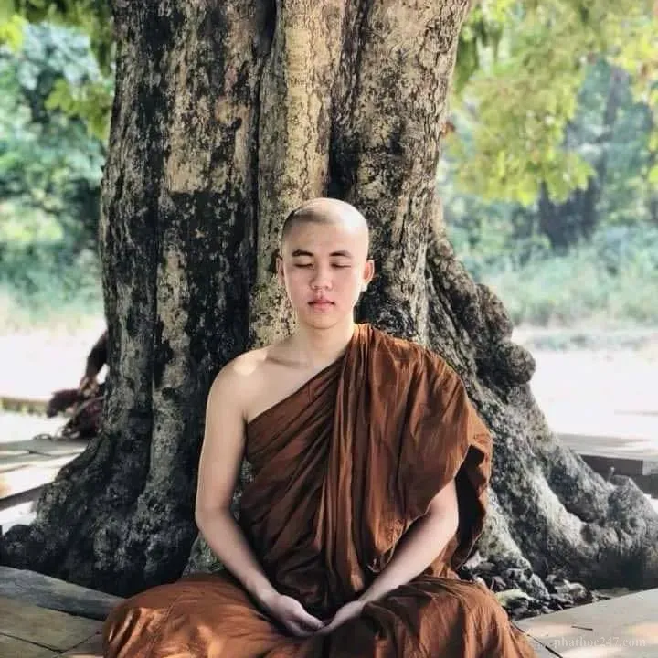 Khi sáu căn thanh tịnh, các giác quan có thể hoạt động với độc lập hoàn toàn