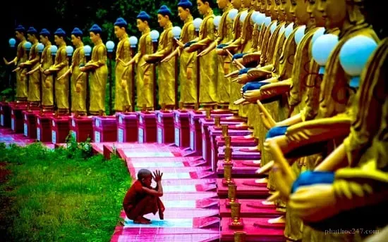 Khuôn viên chùa với ánh sáng vàng óng, tượng Phật A Di Đà bên hoa sen, không gian tĩnh tâm