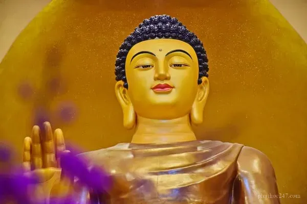 Kiếm sống bằng cách chân chính là nền tảng của một xã hội hòa bình