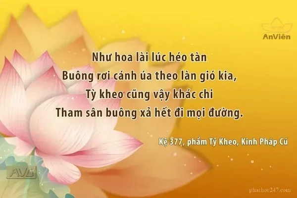 Kinh Pháp Cú hướng dẫn Phật tử tu tập trong từng khía cạnh cuộc sống