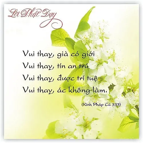 Lời Phật dạy về từ ngữ tốt là nền tảng của mối quan hệ hài hòa