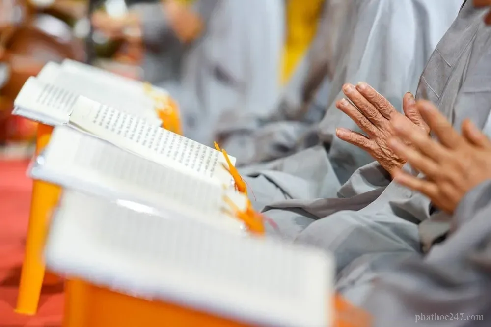 Lòng tham bỏ Ä'i, tâm mình trở nên sáng suốt và tự do