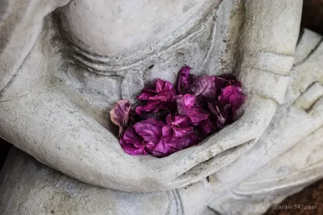 Lòng tham dẫn đến mâu thuẫn, xung đột trong gia đình và xã hội