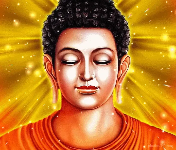 Lòng từ bi mở ra chân trời cao rộng của Pháp tính