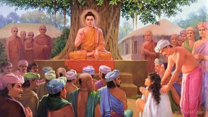 Luật nhân quả - nền tảng của Phật giáo, giúp người tu hiểu rõ mối liên hệ giữa hành động và kết quả