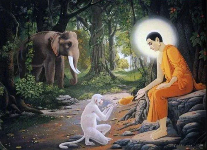 Luật nhân quả trong Phật giáo: Mỗi hành động đều có hậu quả tương ứng