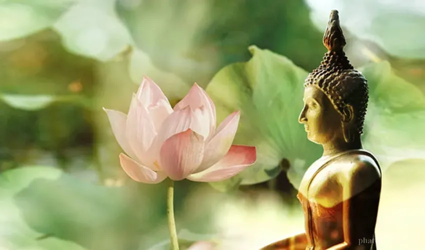 Minh sát tuệ giúp nhìn rõ bản chất thực của năm uẩn