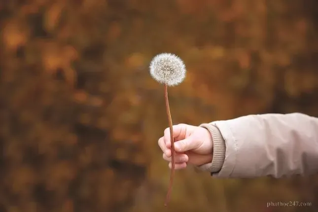 Mỗi hành động nhỏ nhặt thiện lành đều có khả năng thay đổi số mạng của chúng ta