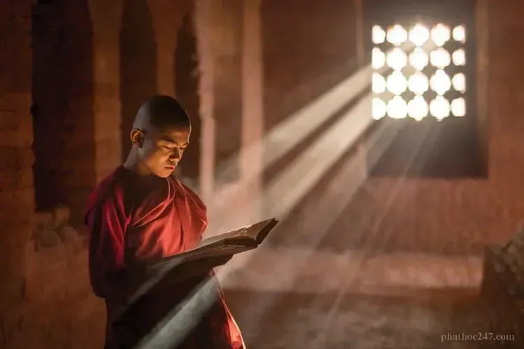 Mối liên hệ tương tác giữa ba căn bản phiền não tham, sân, si