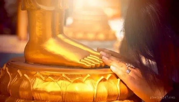 Một người đang ngồi thiền, nhìn vào trong lòng để nhận diện những thành kiến và sự hiểu biết sai lầm