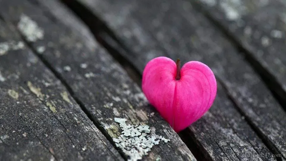 Một người phụ nữ đang thiền định trong tư thế bình yên, tượng trưng cho sự chấp nhận và yên tâm