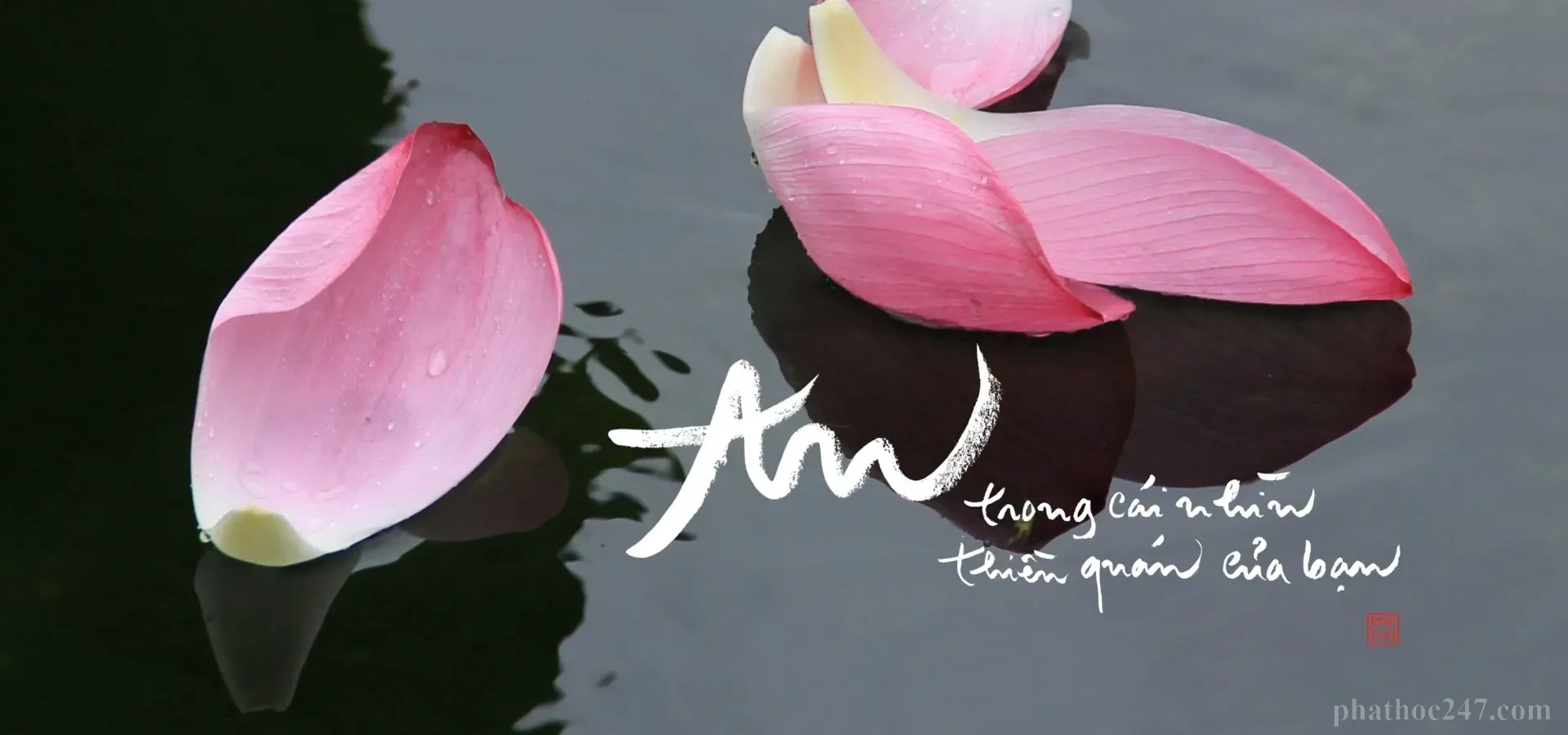 Một người thiền định với nụ cười an tĩnh, tâm hồn tỏa sáng giữa thiên nhiên yên bình