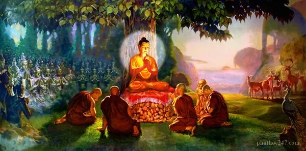 Một nhóm tăng ni đang cầu nguyện trong chùa với ánh sáng thiêm thiêng