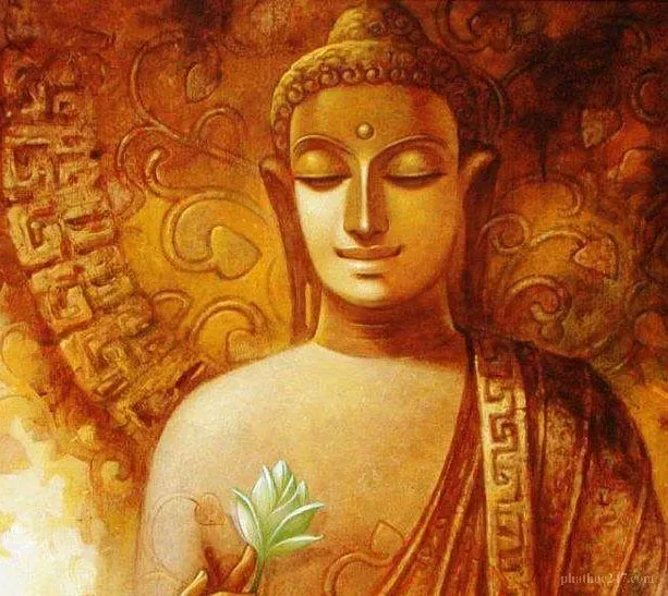 Một Phật tử đang thiền định trong vườn hoa sen