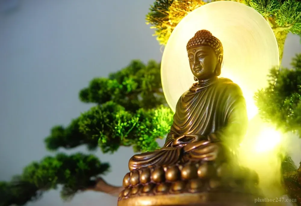 Mười một tâm sở thiện là những yếu tố cấu thành nên một tâm thức sáng suốt