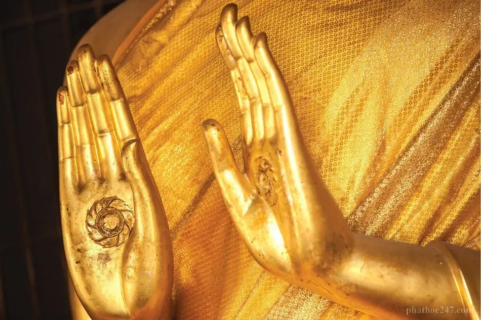 Năm căn là phương tiện tu hành thực hiện giải thoát trong Phật pháp