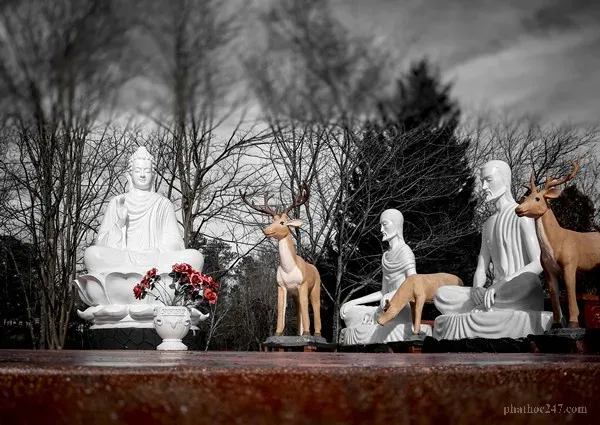 Năm cấp bậc tu tập quán chiếu duy thức bao gồm từ Tư lương đến Cứu cánh