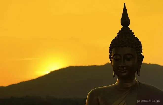 Người chơi cờ bạc đang cảm thấy mất tin tưởng từ gia đình