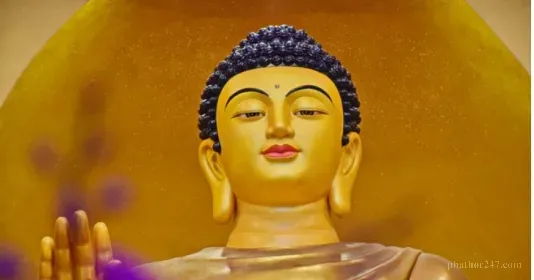 Người con Phật hiểu rõ ý nghĩa của việc tiết kiệm tài sản