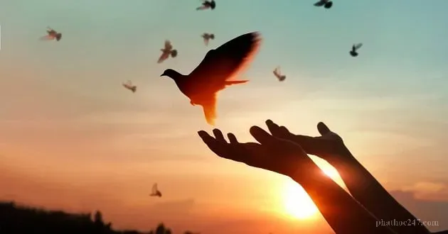 Người lao động đơn giản làm việc hàng ngày, tôi lộ vẻ hạnh phúc từ tâm đơn sơ