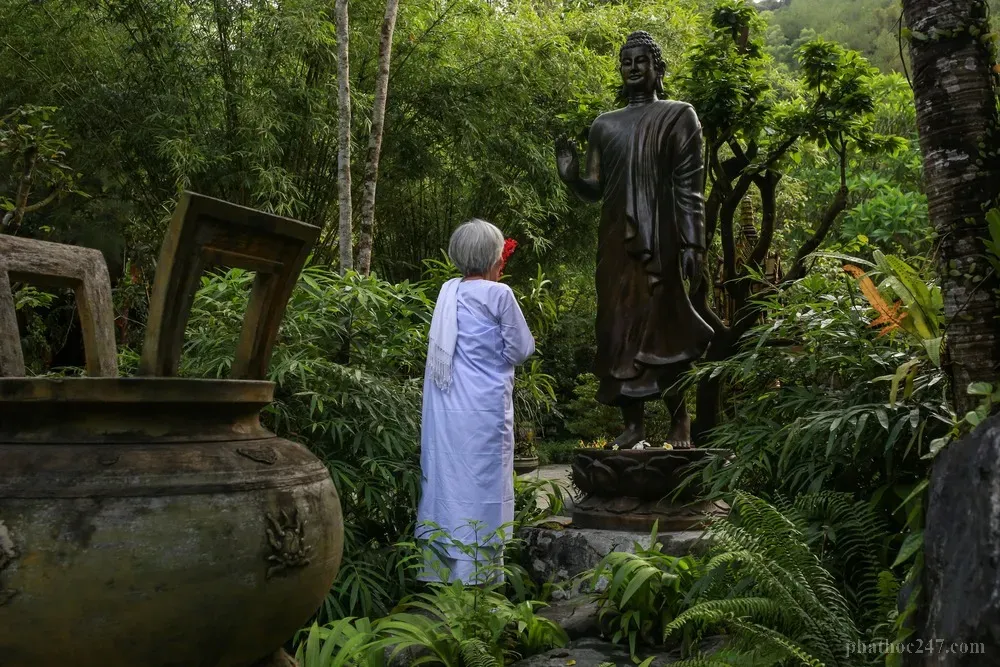 Người Phật tử đọc kinh và học tập giáo lý Phật để phát triển tài sản văn - kiến thức Phật pháp