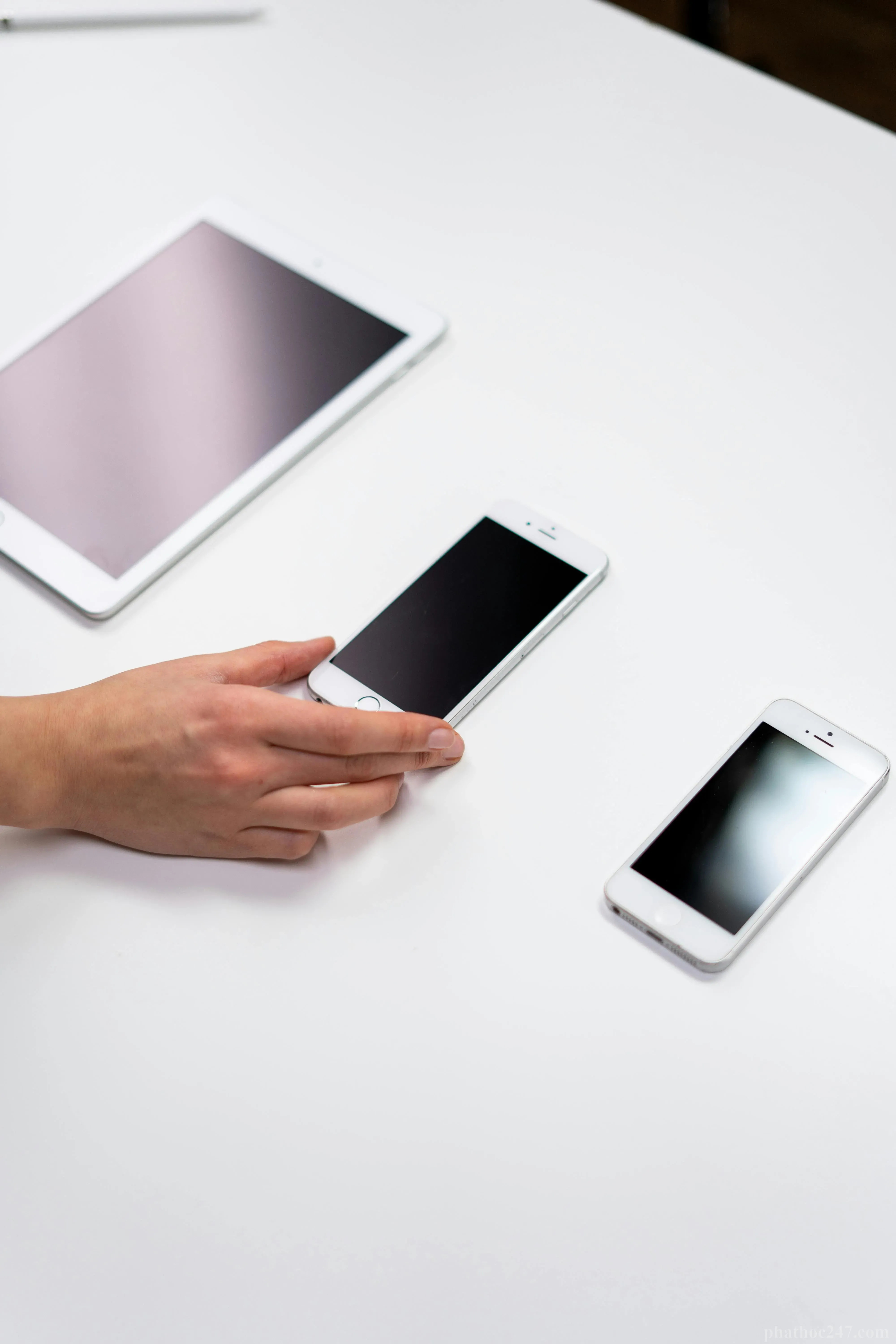 Người thực hành thiền định buổi sáng với nắng vàng tại công viên để tìm sự an bình