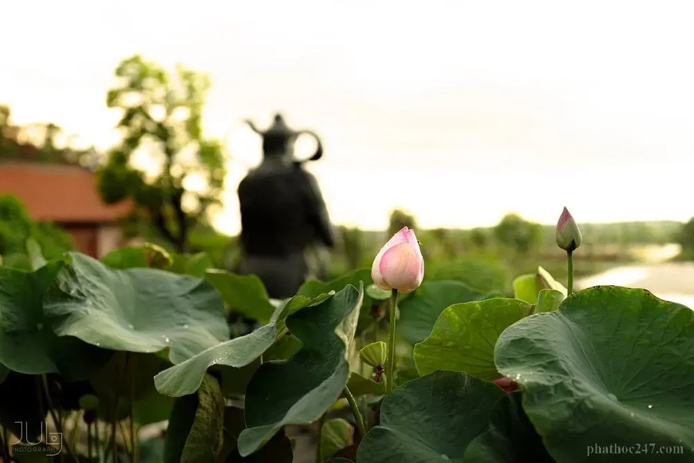 Người tu hành bước trên con đường phía trước, tượng trưng cho sự thay đổi và trưởng thành