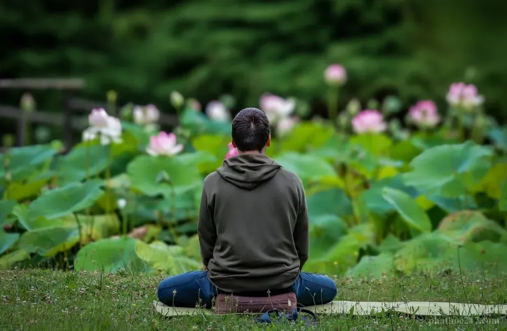 Người tu hành ngồi thiền trong chùa, biểu tượng của sự thanh tịnh và ung dung tự tại