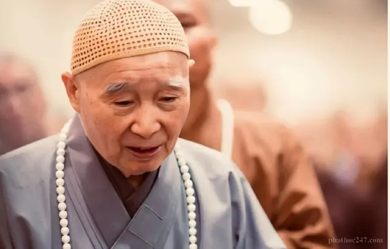 Nhìn sâu vạn vật là bước đầu tiên của tuệ minh