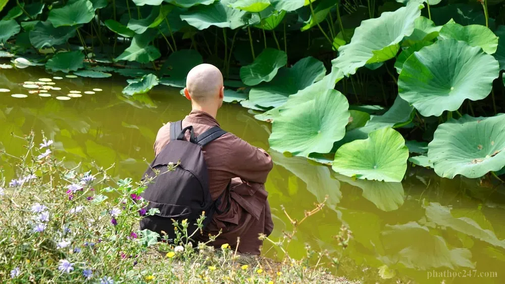 Nhóm Phật tử tụ tập trong thiền đường với tâm yên bình