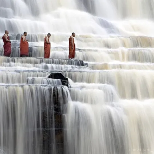 Những biểu hiện suy thoái giáo pháp qua hành động không phù hợp của tu sĩ