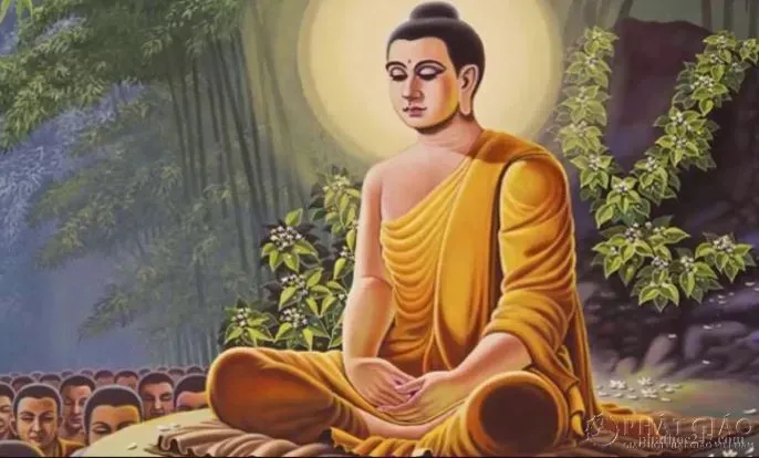 Những bộ kinh Phật được trưng bày tại chùa, khôi phục sự giáo hóa của Phật pháp