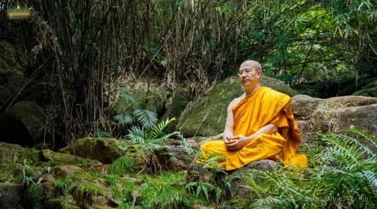 Những điều cơ bản nhất về Thiền - Hành thiền tư thế