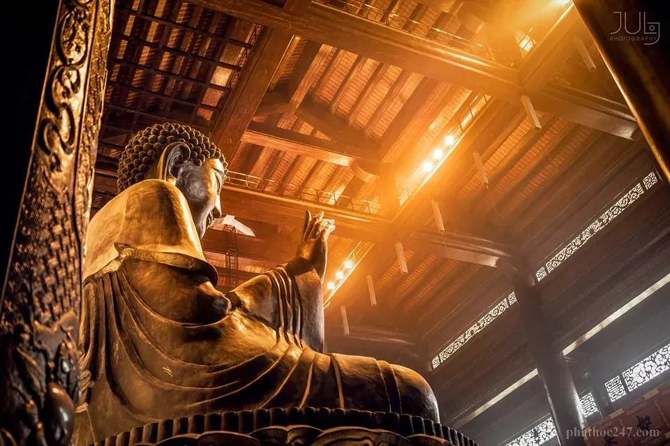 Những hành động tốt lành tạo nên nghiệp là nh dẫn đến con đường sáng