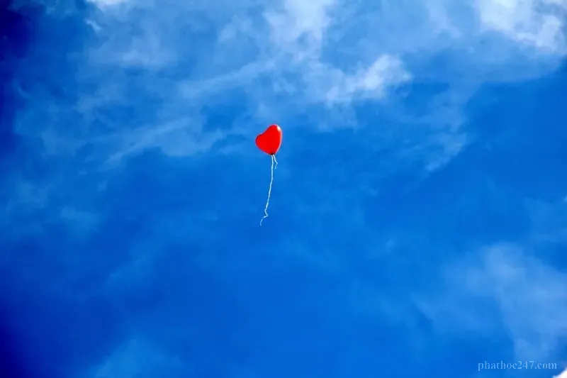 Những mối quan hệ sâu sắc trong cuộc sống được hình thành qua nhiều kiếp sống