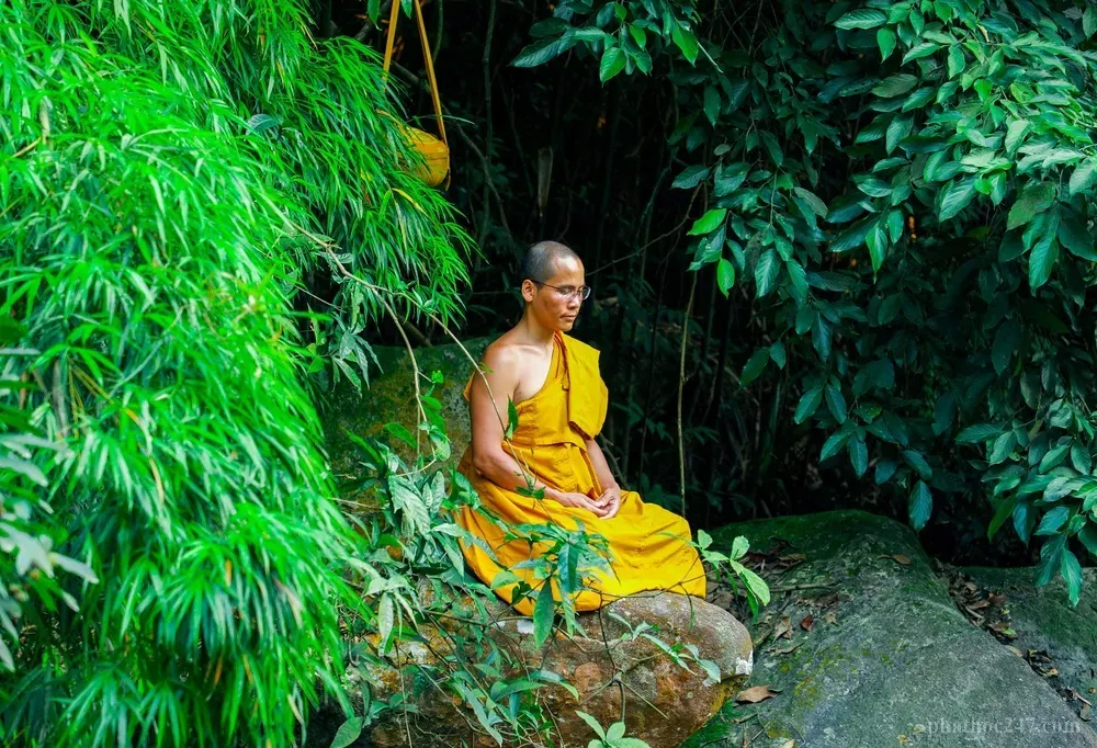 Núi rừng nơi các vị tu sĩ hành thiền quán sát vô thường