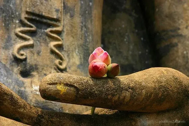 Phá vỡ cơn mê lẫm về "ta" để sống trở lại với ánh sáng tỉnh giác của Phật tâm