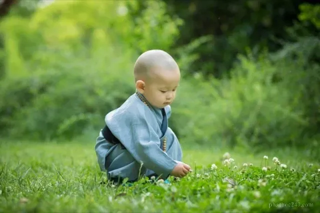 Phật pháp dạy ta tránh lối hận thù