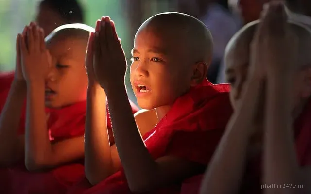 Phật tánh hiện diện khắp nơi trong vũ trụ, bao trùm tất cả chúng sinh