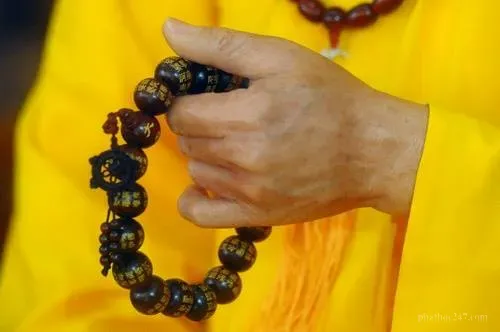 Phật tử tu tập niệm Phật trong sạch, tâm ý chuyên nhất trước sàn thờ Phật