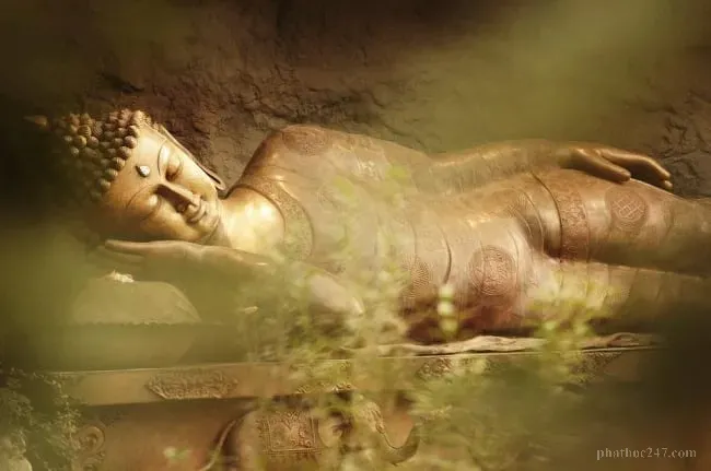 Quá trình tu tập là hành trình trở lại với bản chân của tâm