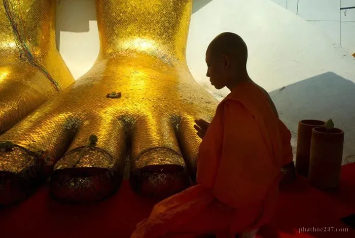 Sám hối là con đường về nhà cho những linh hồn lạc lối