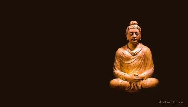 Sợi chỉ trắng như tuyết mỏng manh trên áo ca sa của Thiền sư, biểu tượng của sự kết nối giữa vô minh và giác ngộ