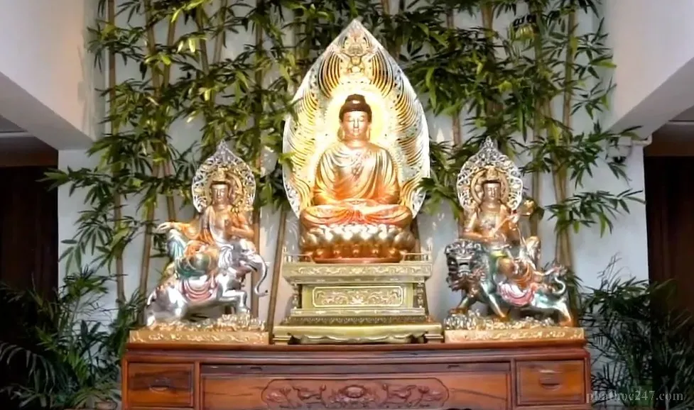 Sự phát triển của Phật giáo nhập thế giúp kết nối truyền thống với vấn đề hiện đại