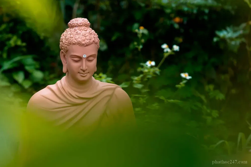 Sự tu tập từ bi trong đạo Phật giúp phát sinh trí huệ