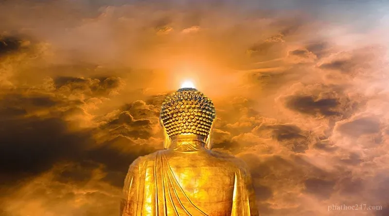 Sự vô thường trong tất cả hiện tượng của cuộc sống