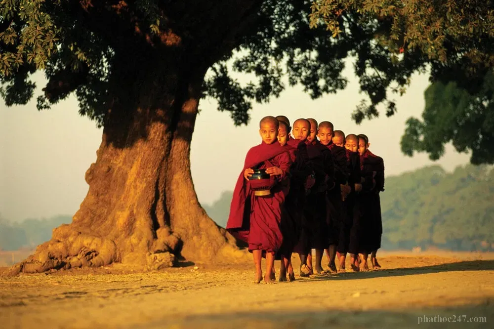 Sự vô tranh trong cộng đồng tu học mang lại hạnh phúc chân thật cho tất cả mọi người