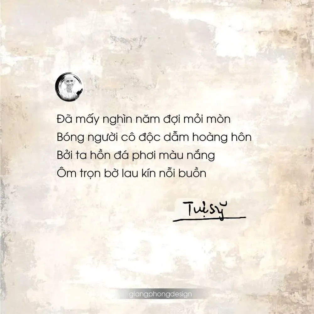 Tác phẩm thư pháp bộ sưu tập "Thiền Lý Đức Hành" - di sản quý báu của Thiền Sư