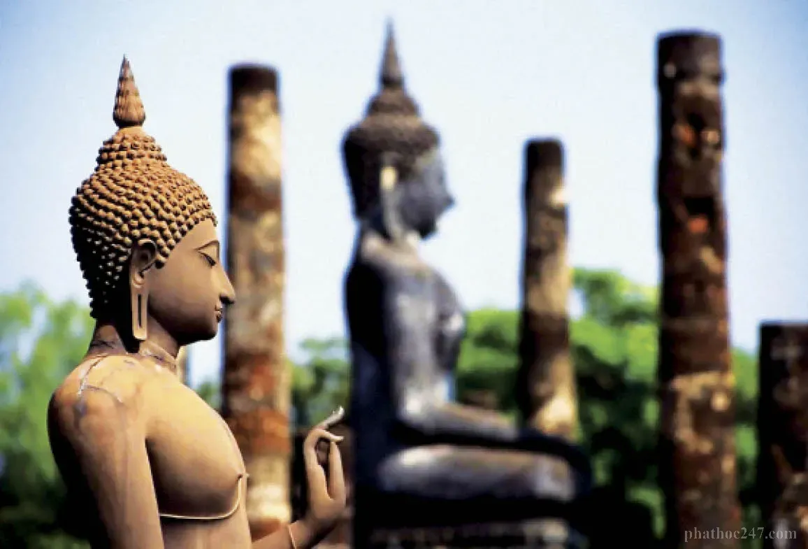 Tâm định tính giúp ta vượt qua những cám dỗ và khó khăn trên đường tu học