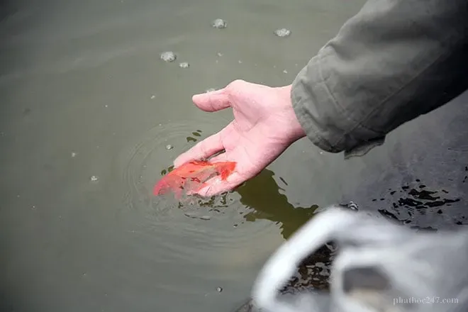 Tâm sám hối chân thành có khả năng thay đổi luân hồi, cải tạo số mệnh